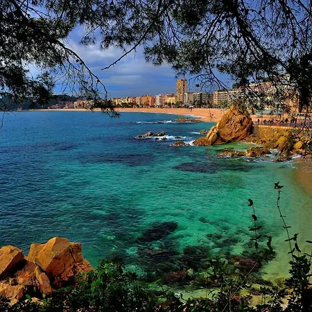 Hébergement de vacances Soleia Holidays *